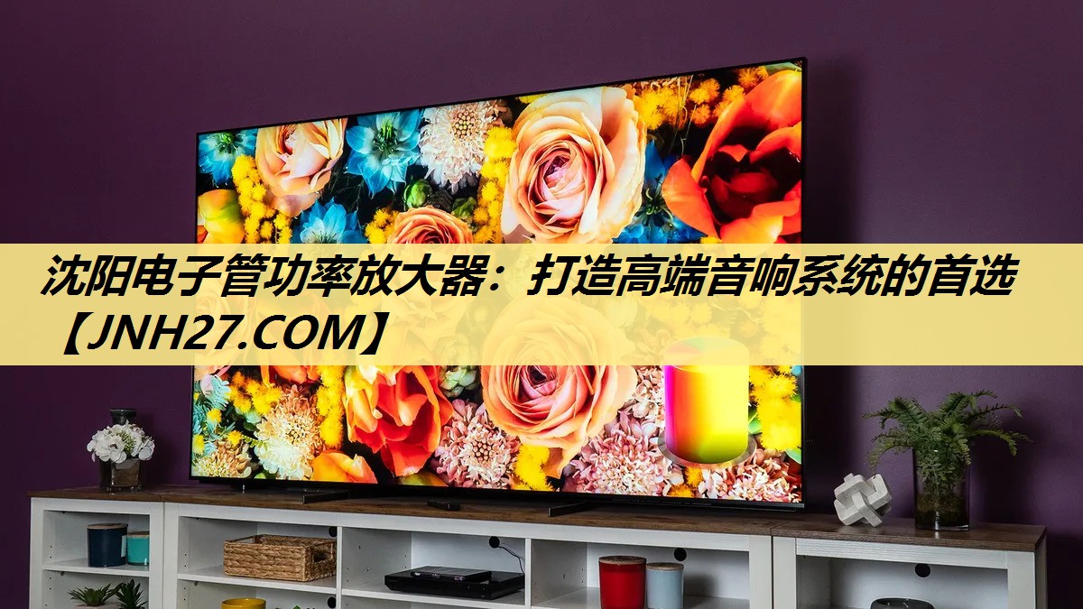 沈阳电子管功率放大器:打造高端音响系统的首选 沈阳电子管功率放大器:打造高端音响系统的首选