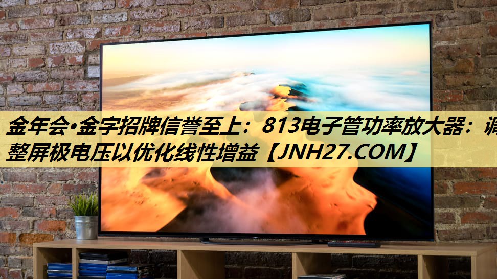 金年会·金字招牌信誉至上:813电子管功率放大器:调整屏极电压以优化线性增益 金年会·金字招牌信誉至上:813电子管功率放大器:调整屏极电压以优化线性增益