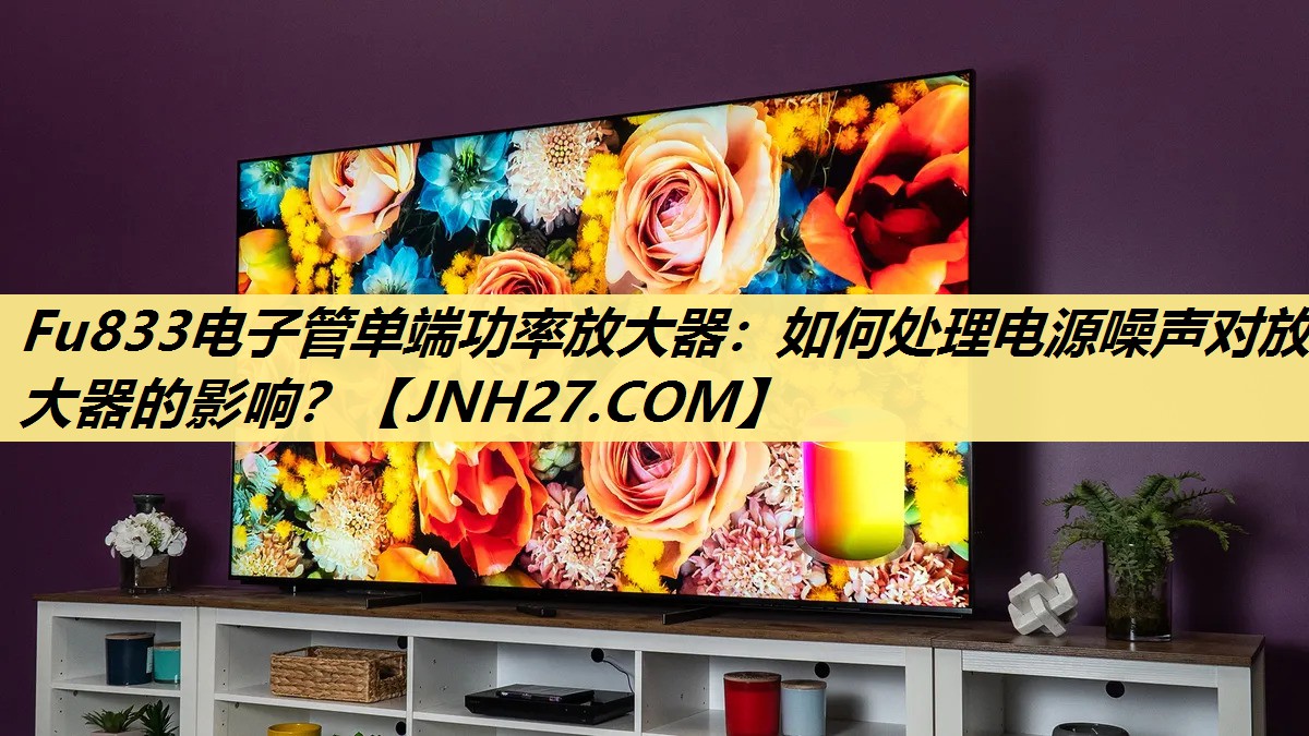Fu833电子管单端功率放大器:如何处理电源噪声对放大器的影响? Fu833电子管单端功率放大器:如何处理电源噪声对放大器的影响?