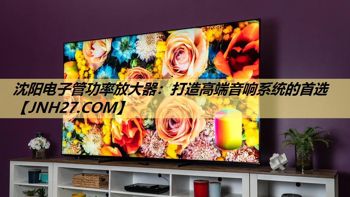 沈阳电子管功率放大器:打造高端音响系统的首选 沈阳电子管功率放大器:打造高端音响系统的首选