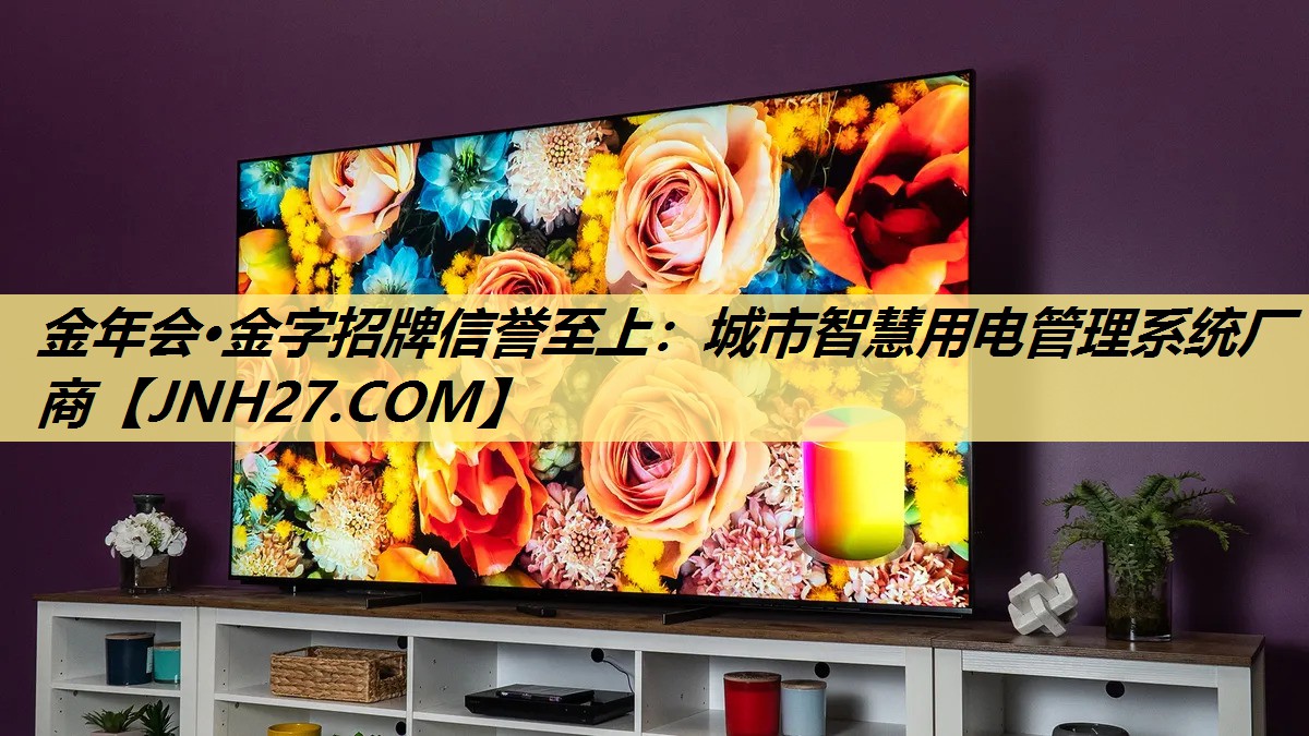 城市智慧用电管理系统厂商 城市智慧用电管理系统厂商