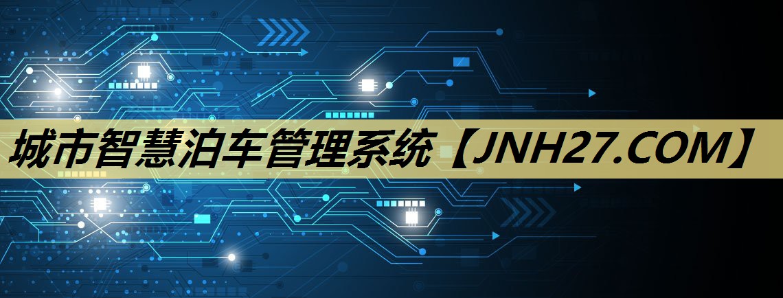 城市智慧泊车管理系统 城市智慧泊车管理系统